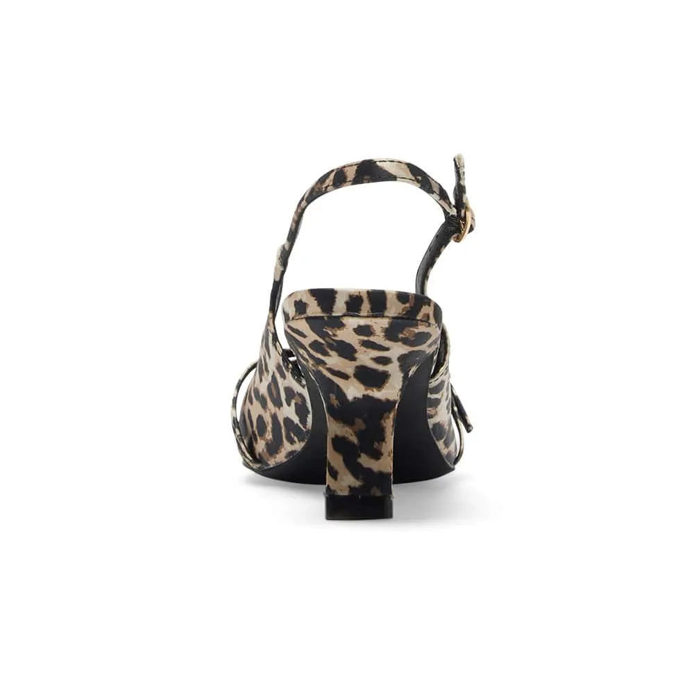 Ashley Heel in Animal