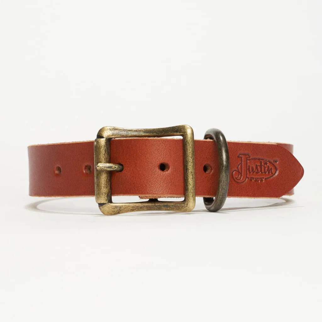 Leather Dog Collar