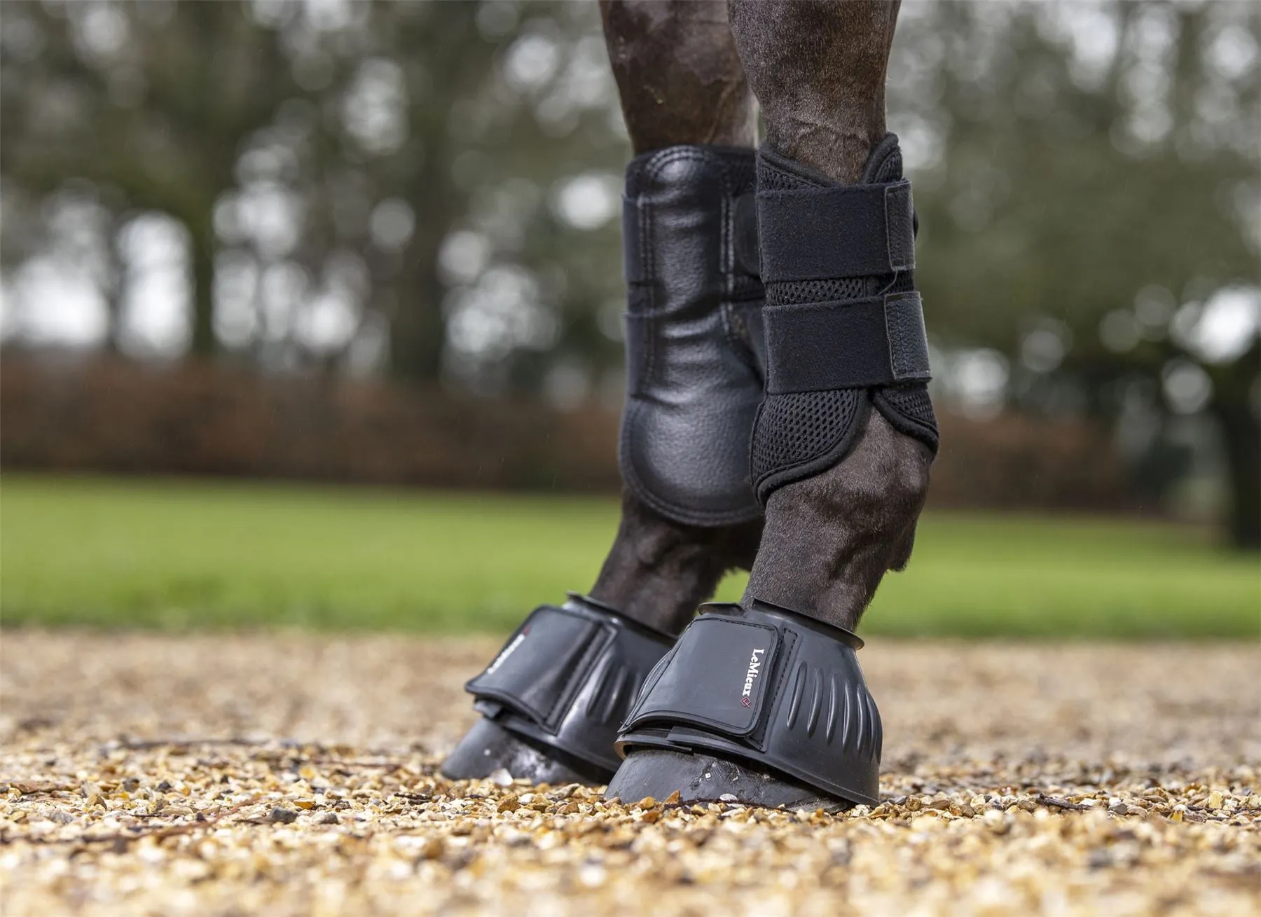 LeMieux Rubber Bell Boots